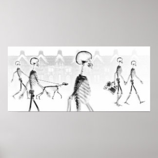 X-Ray Skeletons Afternoon Stroll Black & White Poster