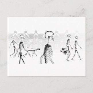 X-Ray Skeletons Afternoon Stroll Neg BW Postcard