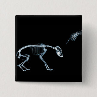 X-Ray Skeletons Bad Dog Blue 15 Cm Square Badge