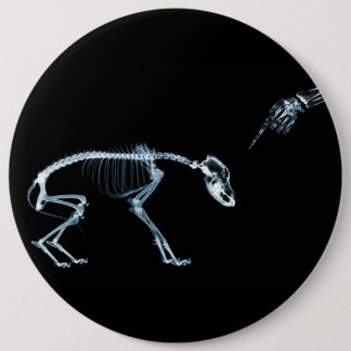 X-Ray Skeletons Blue Bad Dog 6 Cm Round Badge