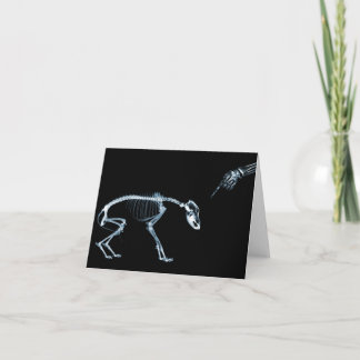 X-Ray Skeletons Blue Bad Dog Card