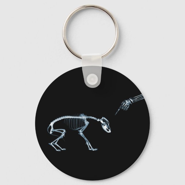 X-Ray Skeletons Blue Bad Dog Key Ring (Front)
