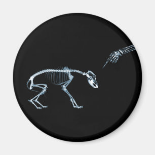 X-Ray Skeletons Blue Bad Dog Magnet