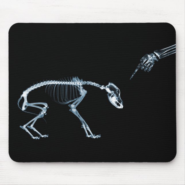 X-Ray Skeletons Blue Bad Dog Mouse Mat (Front)