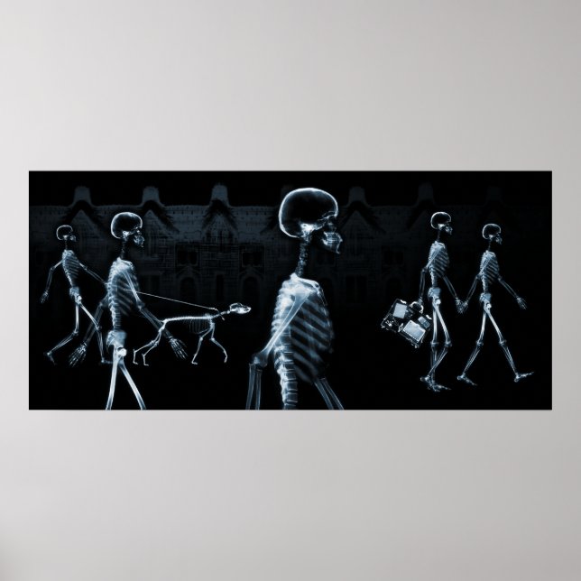 X-Ray Skeletons Midnight Stroll Black Blue Poster (Front)