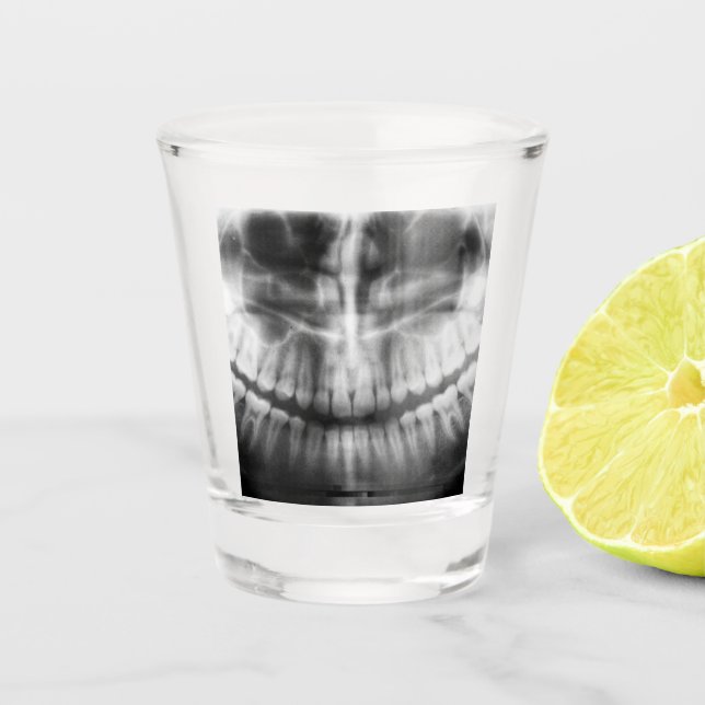 X-Ray Teeth Mouth Smile Black and White Shot Glass (Front)