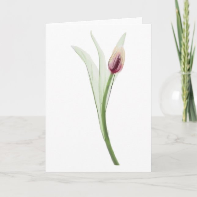 X-ray: Tulip notecard (Front)