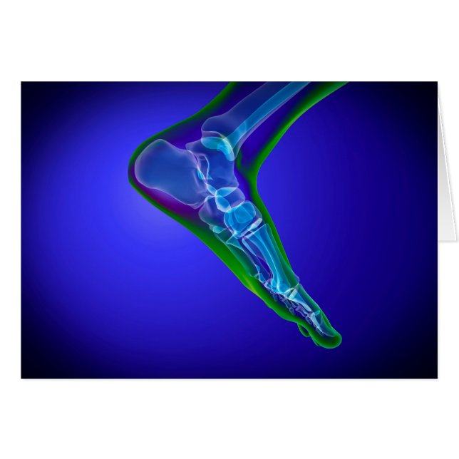 X-Ray View Of Human Foot 1 (Front Horizontal)