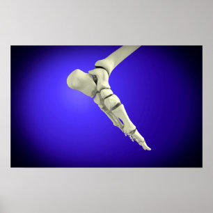 X-Ray View Of Human Foot 2 Poster