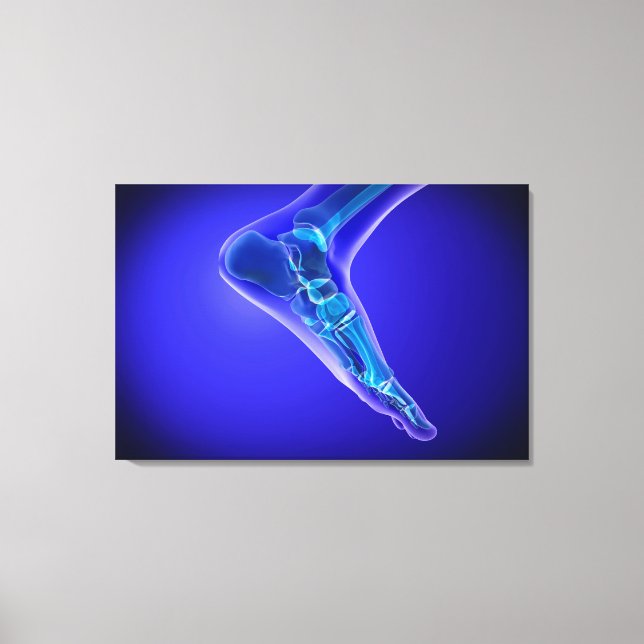 X-Ray View Of Human Foot 3 Canvas Print (Front)
