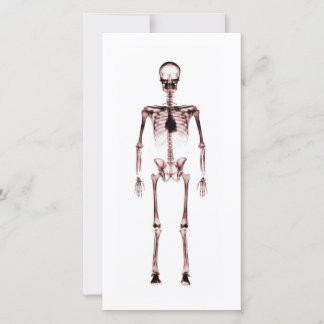 X-Ray Vision Single Skeleton White Red