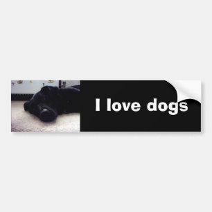 Xander 4 copy, I love dogs Bumper Sticker