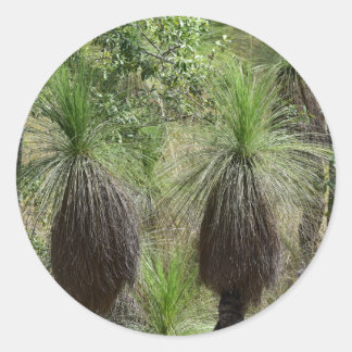 XANTHORRHOEA GRASS TREE BUSH PLANT AUSTRALIA CLASSIC ROUND STICKER