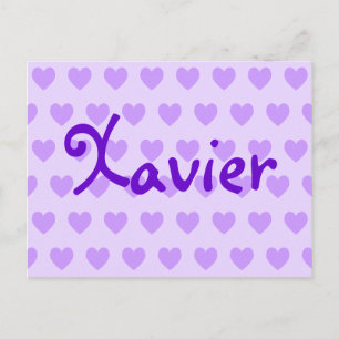 Xavier in Purple Postcard