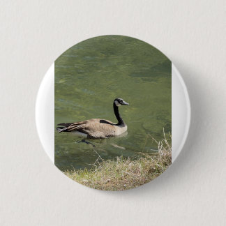 xcvdvdf 6 cm round badge