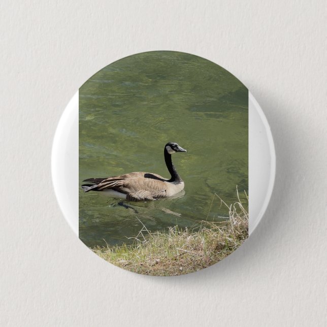 xcvdvdf 6 cm round badge (Front)