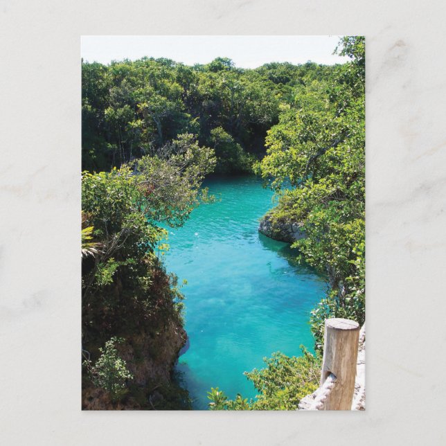 Xel-Ha Nature Park, Mexico Postcard (Front)
