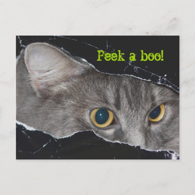 Xena peek-a-boo Postcard - Customised (Front)