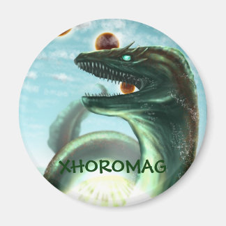 Xhoromag 18 magnet