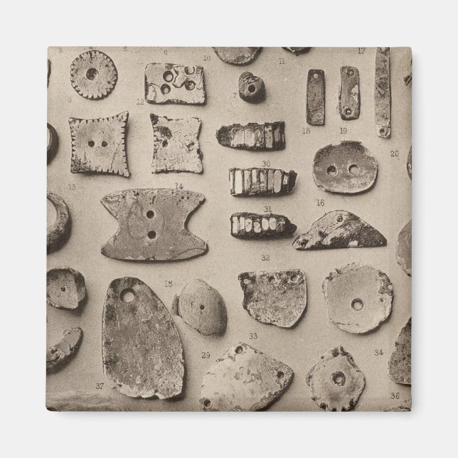 XII Shell ornaments, So California Magnet (Front)