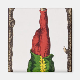 XII The Hanged Man, tarot card Magnet