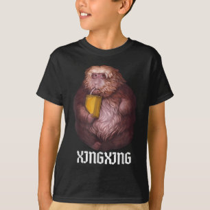 Xing Xing Funny Meme – Viral Trend Funny _1 T-Shirt
