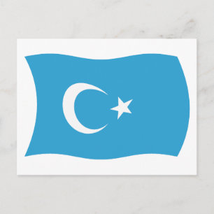 Xinjianj Uigur Flag Postcard