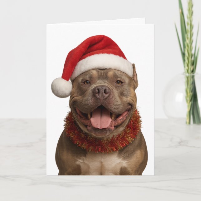 XL Bully in a Santa hat Christmas card (Front)