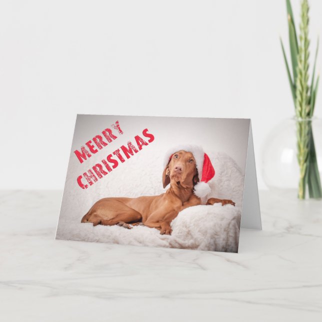 Xmas Card / Christmas Card "Magyar Vizsla" (Front)