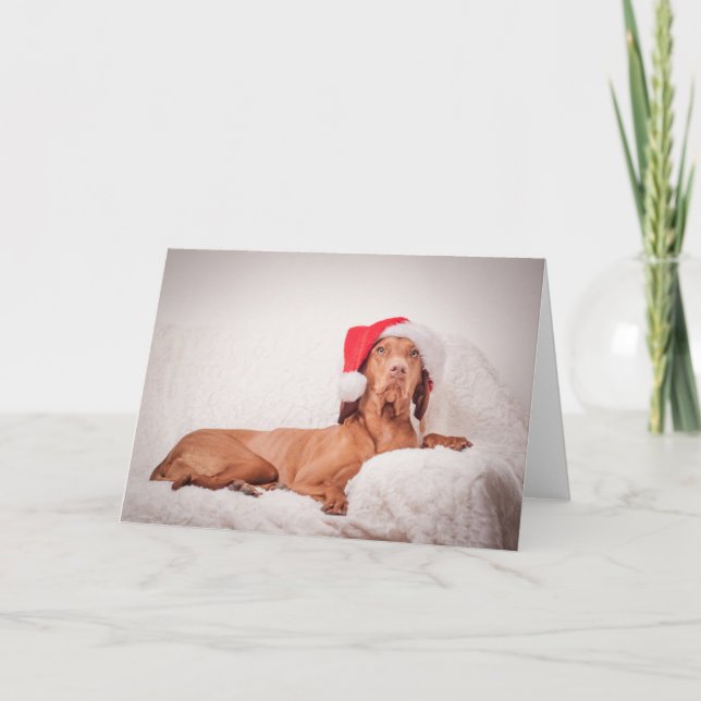 Xmas Card / Christmas Card "Magyar Vizsla" (Front)