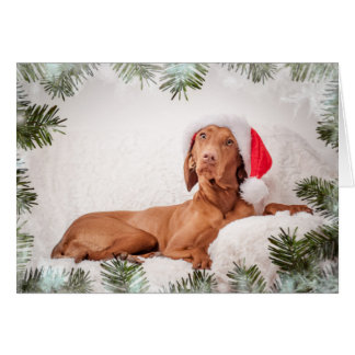 Xmas Card / Christmas Card "Magyar Vizsla"