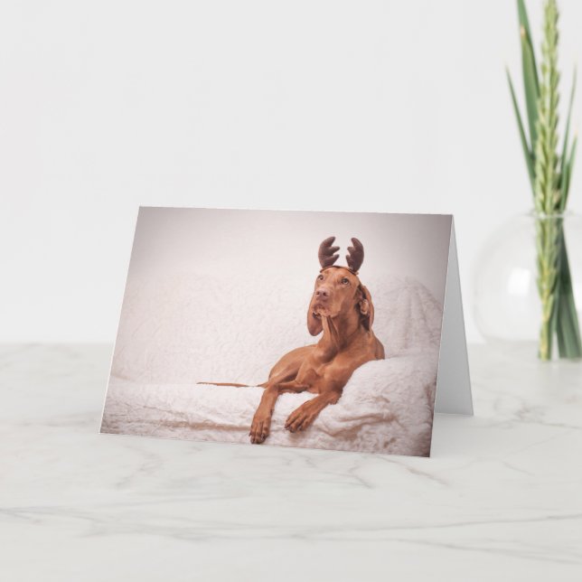 Xmas Card / Christmas Card "Magyar Vizsla" (Front)