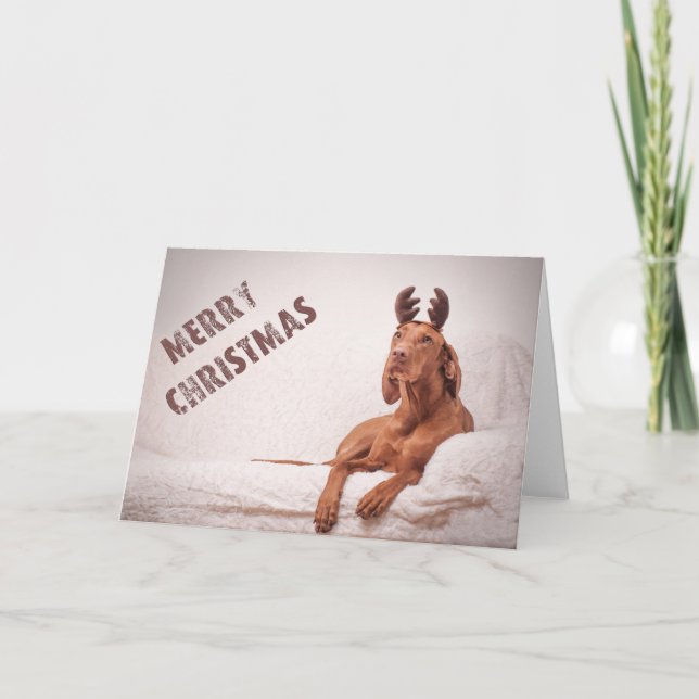 Xmas Card / Christmas Card "Magyar Vizsla" (Front)