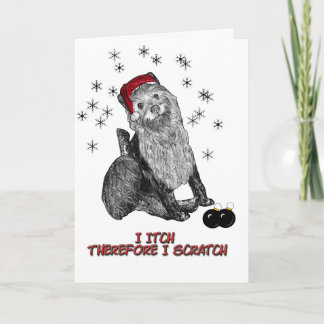 Xmas_doG Holiday Card