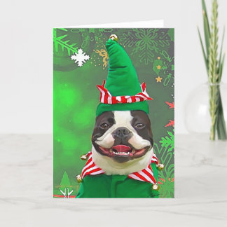 Xmas Elf Holiday Card