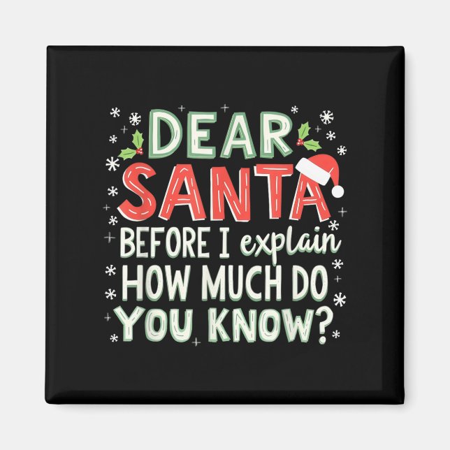 Xmas Funny Dear Santa Before I Explain How Much Do Magnet (Front)