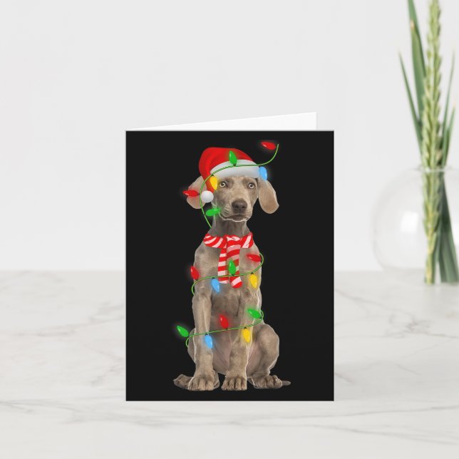 Xmas Lighting Holiday Santa Weimaraner Dog Christm Card (Front)