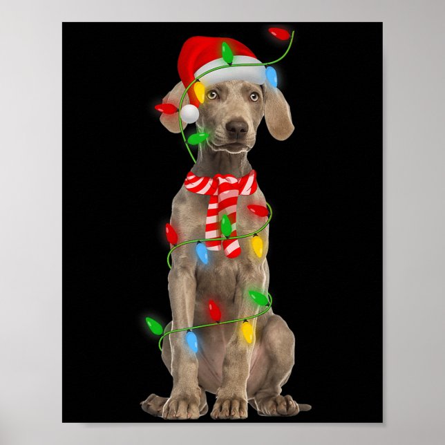 Xmas Lighting Holiday Santa Weimaraner Dog Christm Poster (Front)