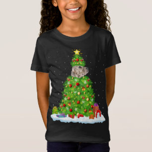 Xmas Lighting Matching Funny English Setter Christ T-Shirt