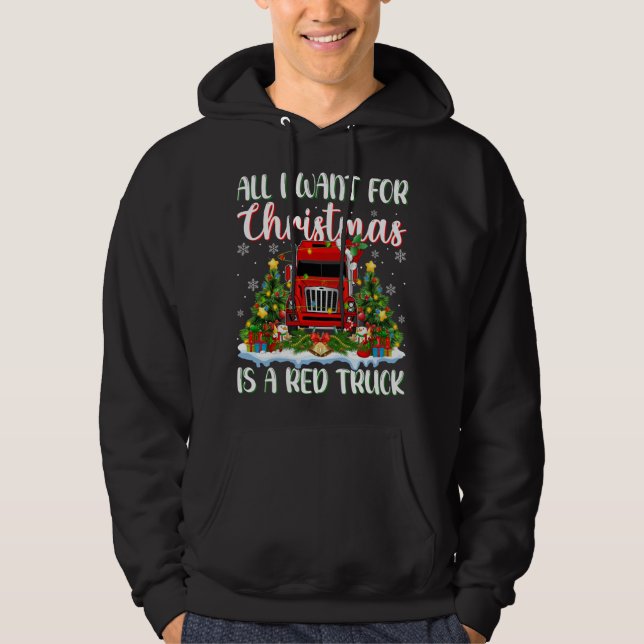 Xmas Lighting Santa All I Want For Christmas Is A  Hoodie (Front)