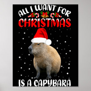 Xmas Lighting Santa All I Want For Christmas Is A Poster