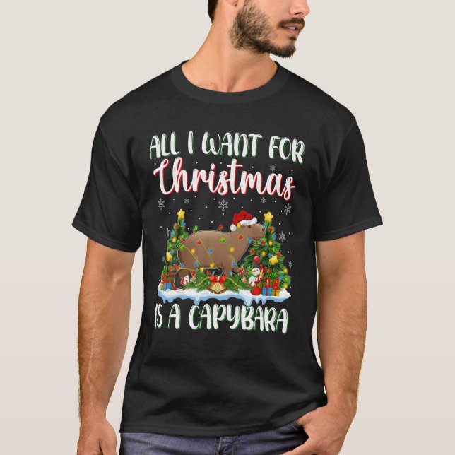 Xmas Lighting Santa All I Want For Christmas Is A T-Shirt (Front)