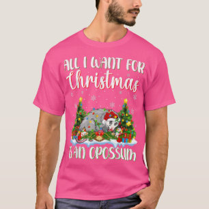 Xmas Lighting Santa All I Want For Christmas Is A  T-Shirt