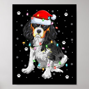 Xmas Lighting Santa Cavalier King Charles Spaniel Poster