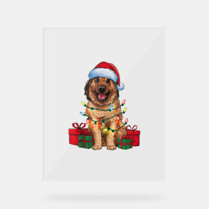 Xmas Lighting Santa Hat Anatolian Shepherd Dog Chr Acrylic Sign