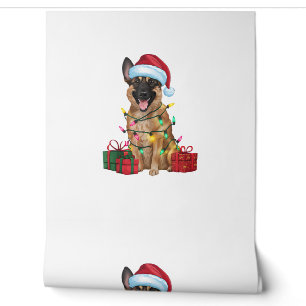 Xmas Lighting Santa Hat Belgian Malinois Dog Chris Wallpaper