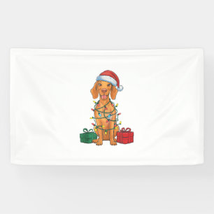 Xmas Lighting Santa Hat Pomeranian Dog Christmas Banner