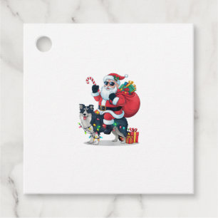 Xmas Lighting Santa Riding Border Collie Dog Chris Favour Tags