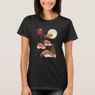 Xmas Lighting Tree Santa Riding Armadillo Christma T-Shirt