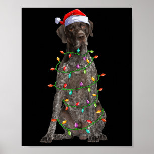 Xmas Lights Santa German Shorthaired Inter Dog Chr Poster